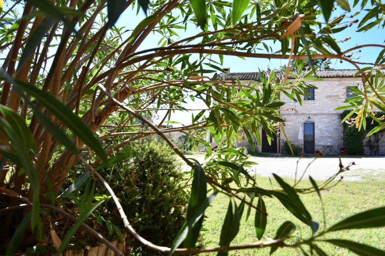 Agriturismo Dai Mori Isola del Piano Экстерьер фото